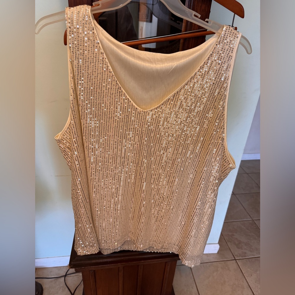 Vneck stretchy Sequined top